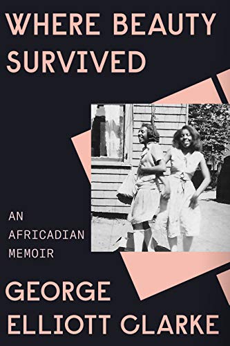 Where Beauty Survived:A Memoir of Race, Family Secrets, and Africadia