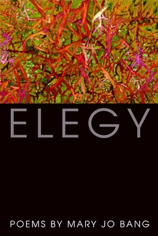 Elegy: Poems;  Mary Jo Bang