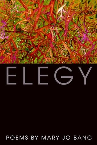 Elegy: Poems;  Mary Jo Bang