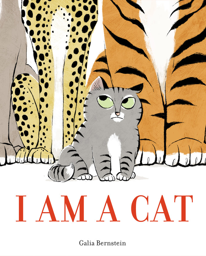 I Am a Cat;  Galia Bernstein