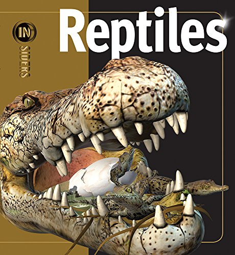 Insiders/Reptiles;  Mark Hutchinson