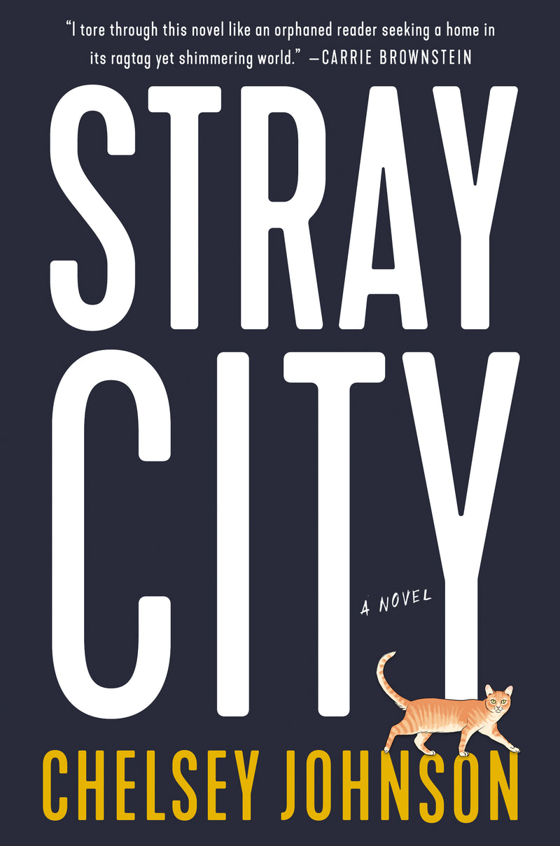 Stray City;  Chelsey Johnson