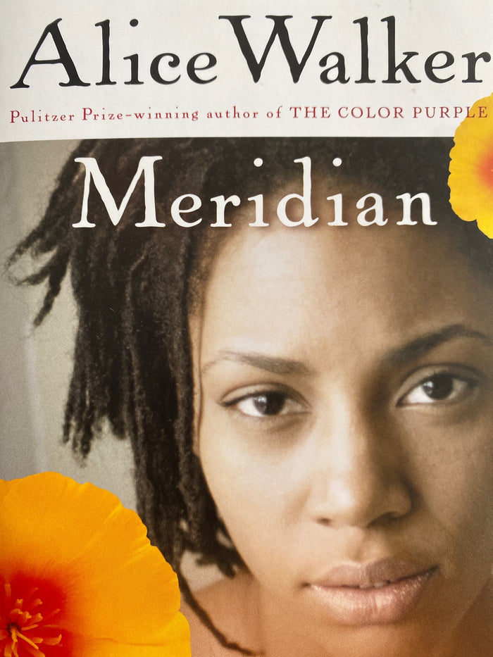 Meridian;  Alice Walker